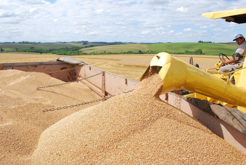 Produção de grãos no país pode chegar a 322,4 milhões de toneladas na safra 2024/25, estima Conab